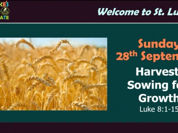 Harvest – Sowing for Growth (Luke&nbsp;8:1-15)