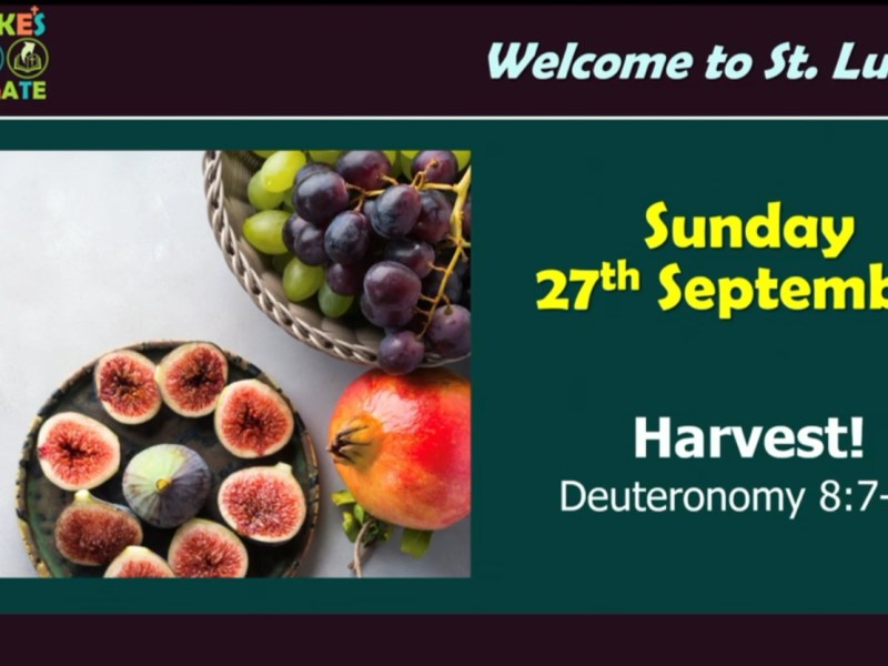 Harvest! (Deuteronomy 8:7-18)